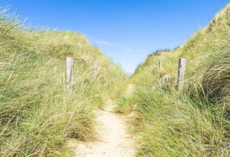 List Segmentation - pathway surrounded with grasses