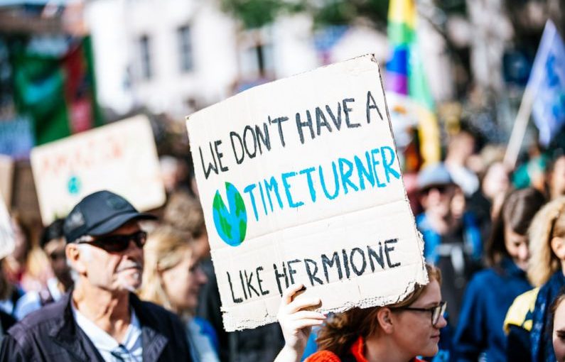 Globe Events - people holding signage during daytime