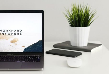 SEO Strategy - MacBook Pro near green potted plant on table